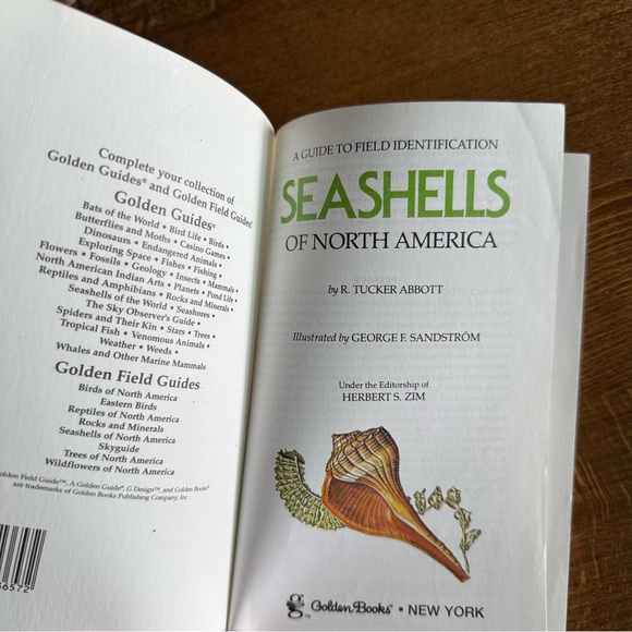 Seashells of North America A Guide to Field Identification - Picture 3 of 11